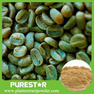Green coffee bean extract Chlorogenic Acid
