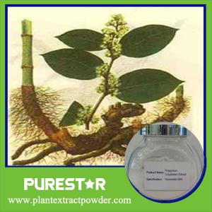 Giant Knotweed Extract Resveratrol