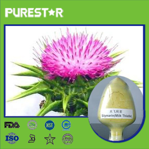 Milk Thistle Extract Silymarin