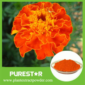 Marigold Extract Lutein  