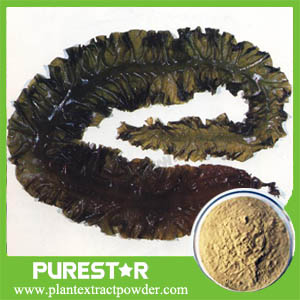 Brown Seaweed extract Fucoidan