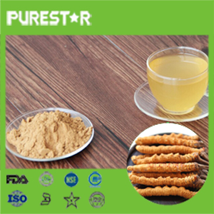 Cordyceps sinensis extract /polysaccharides