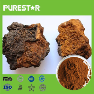 Chaga (Inonotus Obliquus) Extract polysaccharides