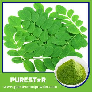 Moringa Leaf Powder