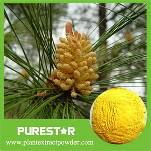 Pine Pollen Powder