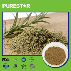 Rosemary Extract,Carnosic Acid