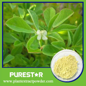 Fenugreek Seed Extract,4-Hydroxyisoleucine