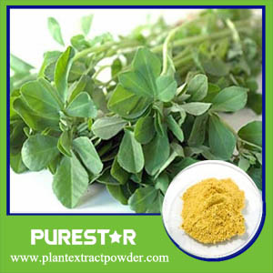 Fenugreek Seed Extract,Fenugreek Total Saponins