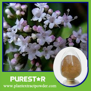 Valerian Extract,Valeric acids 