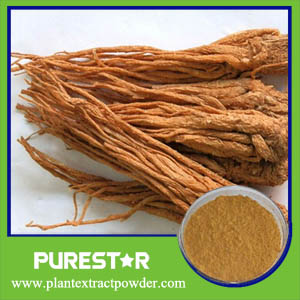 Angelica Extract