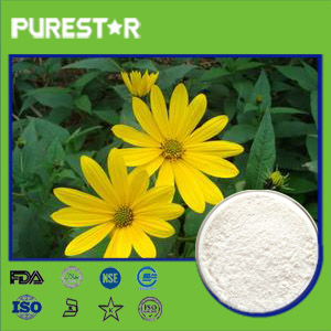 Chicory Root Extract,Inulin