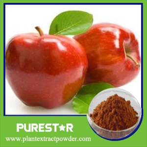 Apple Extract