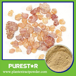 Boswellia Serrata Extract,Boswellic Acid