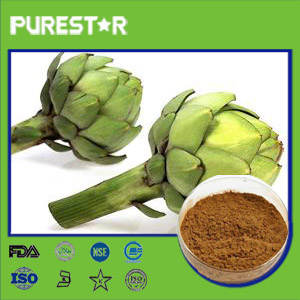 Artichoke Extract,Cynarin