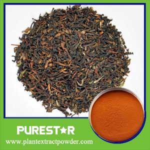 Instant Black Tea Powder