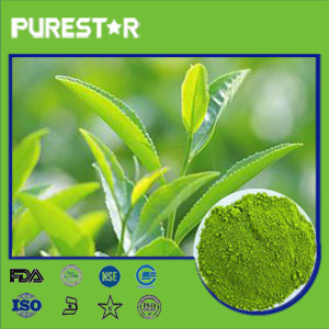 Instant Green Tea Powder