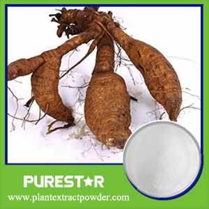 Kudzu Root Extract,Puerarin