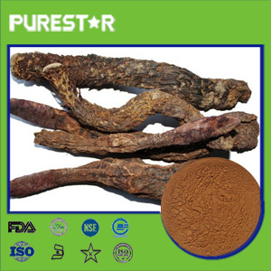 Cistanche Tubulosa Extract,Verbascoside