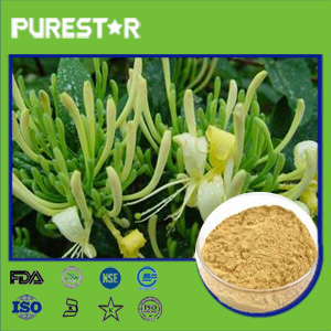  Honeysuckle Flower Extract,Chlorogenic acid