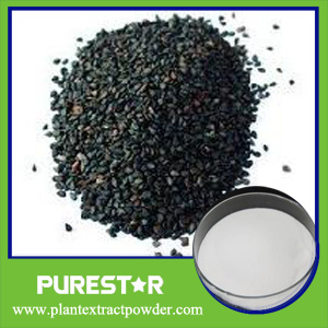 Black Sesame Extract Sesamin