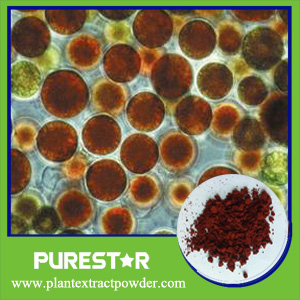 Haematococcus Pluvialis Extract,Astaxanthin