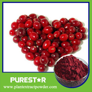 Cranberry Extract,Anthocyanidins