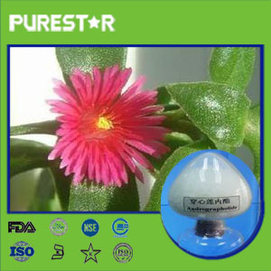 Common Andrographis Herb Extract,Andrographolide