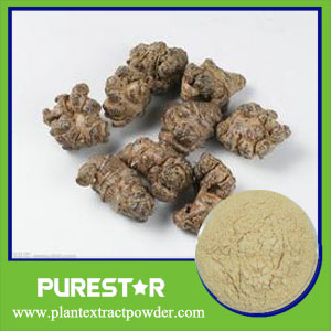 Radix Notoginseng Extract,Notoginsenosides 