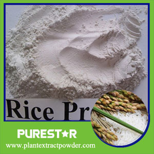 Rice Protein