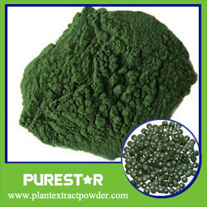 Spirulina Powder