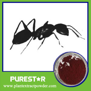 Black Ant Extract