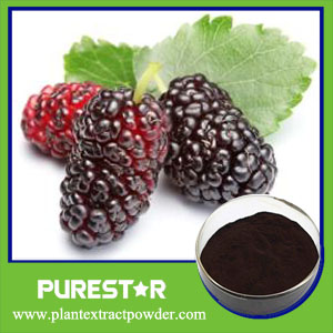 Mulberry Fruit Extract,Anthocyanidin