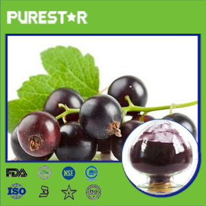 Black Currant Extract,Anthocyanidin