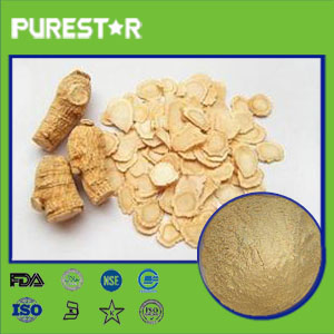 American Ginseng Extract,Ginsenosides