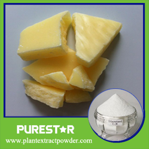 Rice Bran Wax Extract,Triacontanol