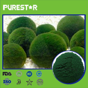 Chlorella powder