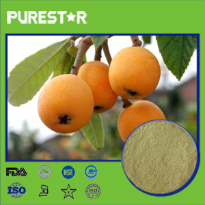 Loquat Leaf Extract,Ursolic Acid