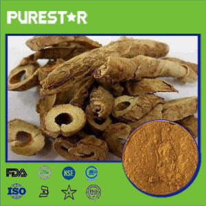 Siberian Ginseng Extract,Eleutheroside