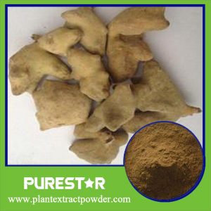 Chinese Gallnut Extract,Ellagic Acid