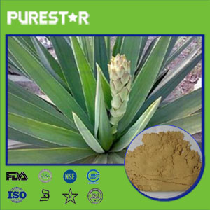 Yucca Schidigera Extract,Sarsaponin