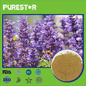 Salvia officinalis extract,Carnosic Acid