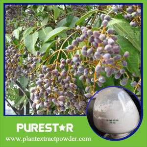 Ligustrum lucidum fruit Extract,Oleanolic acid