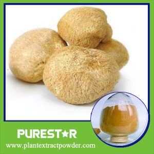 Hericium erinaceus extract 