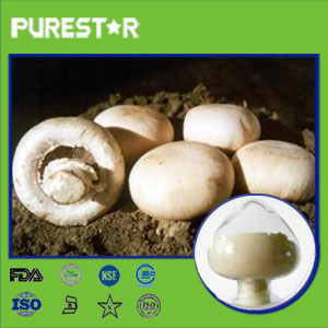 Agaricus Bisporus Extract