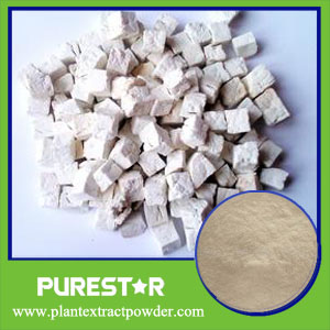Poria Cocos Extract