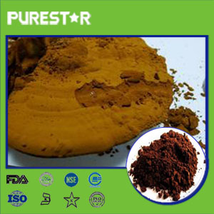 Ganoderma lucidum spore powder