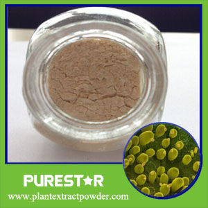 Yeast Beta Glucan 