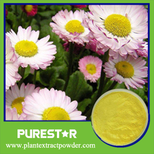 Erigeron Breviscapus Extract,Breviscapine