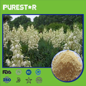 Yucca Extract,Sarsaponin