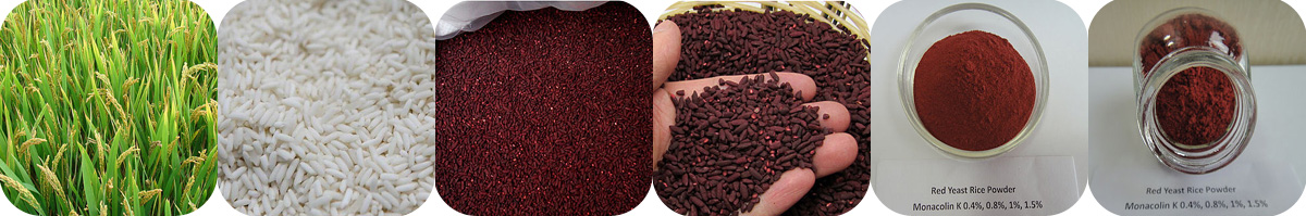 Red Yeast Rice Extract,Monacolin k,Lovastatin